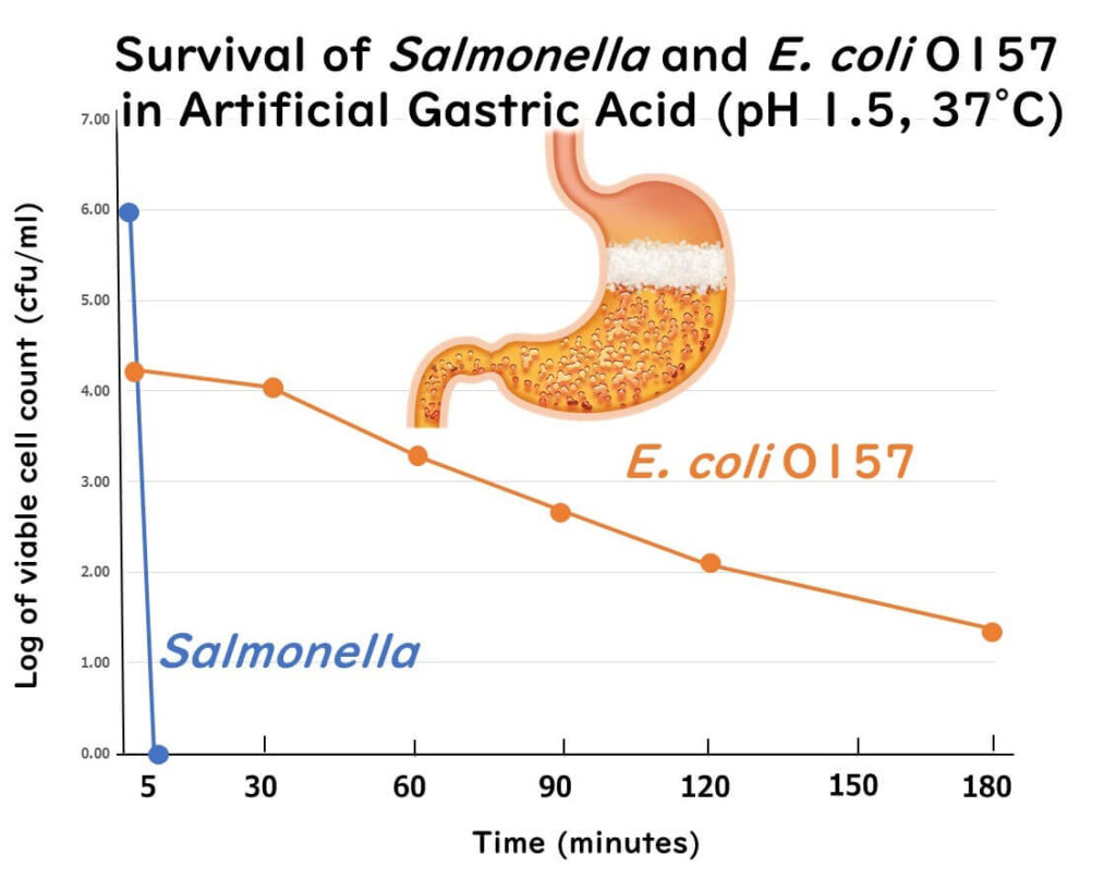 Survival of salmonella and E. coli in stomach acid