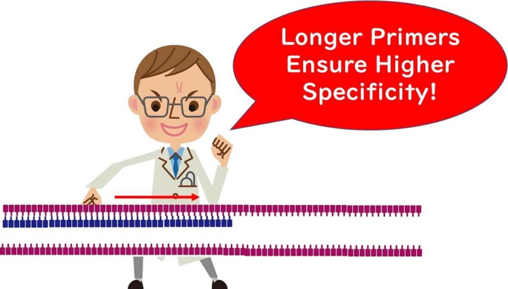 Illustration of a scientist explaining the advantage of longer primers for PCR, emphasizing increased specificity with a visualization of DNA strands and primer binding regions.