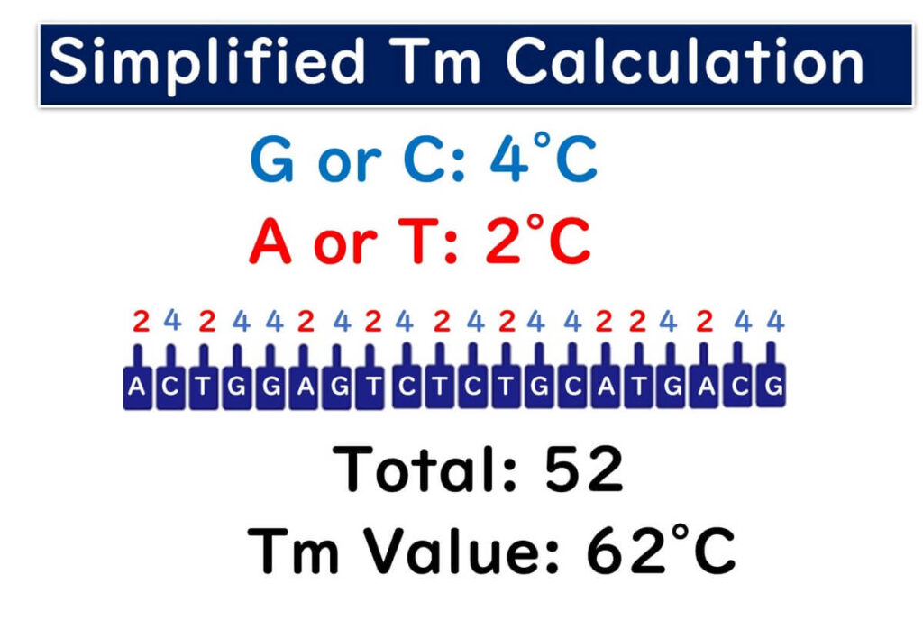 Diagram showing a simplified Tm value calculation method for DNA primers, assigning 4°C for G or C bases and 2°C for A or T bases. The example sequence has a total Tm value of 62°C.