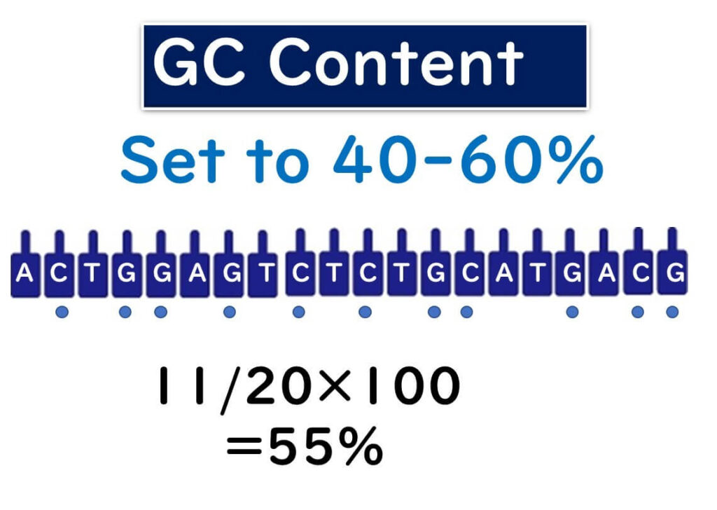 Diagram illustrating GC content calculation in a DNA sequence, set to the recommended range of 40-60%. The example sequence shows a GC content of 55% calculated as (11/20)×100.