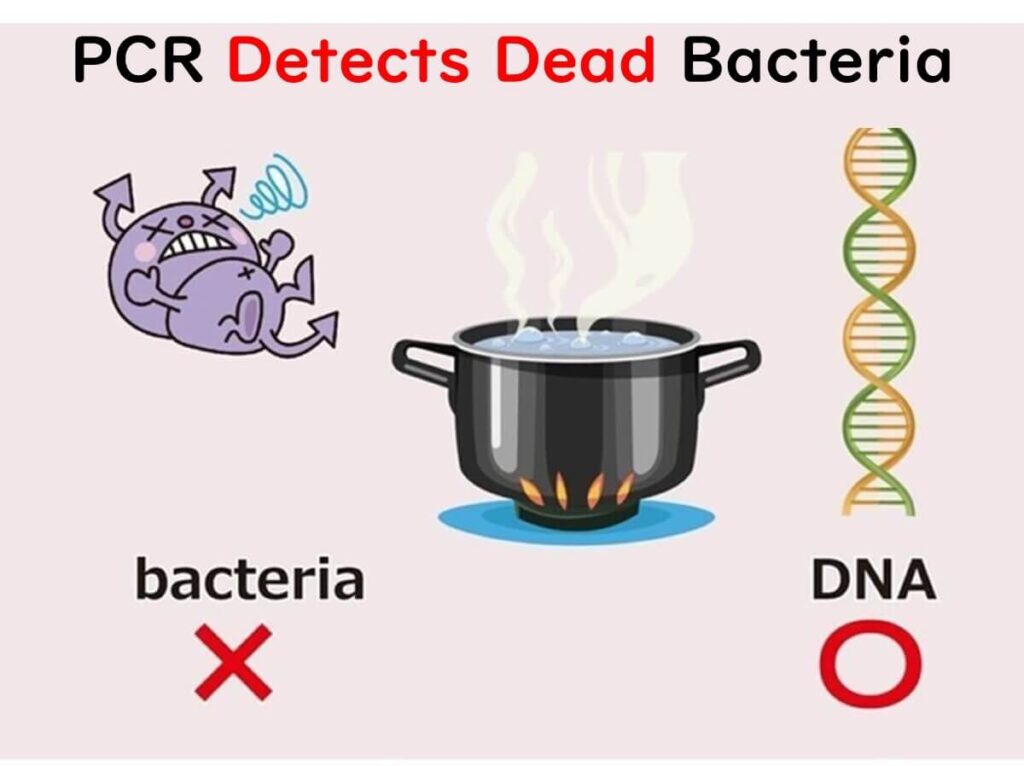 Illustration showing that PCR detects DNA from dead bacteria, highlighting its inability to differentiate between live and dead cells. The image includes visuals of bacteria, a boiling pot, and a DNA strand.