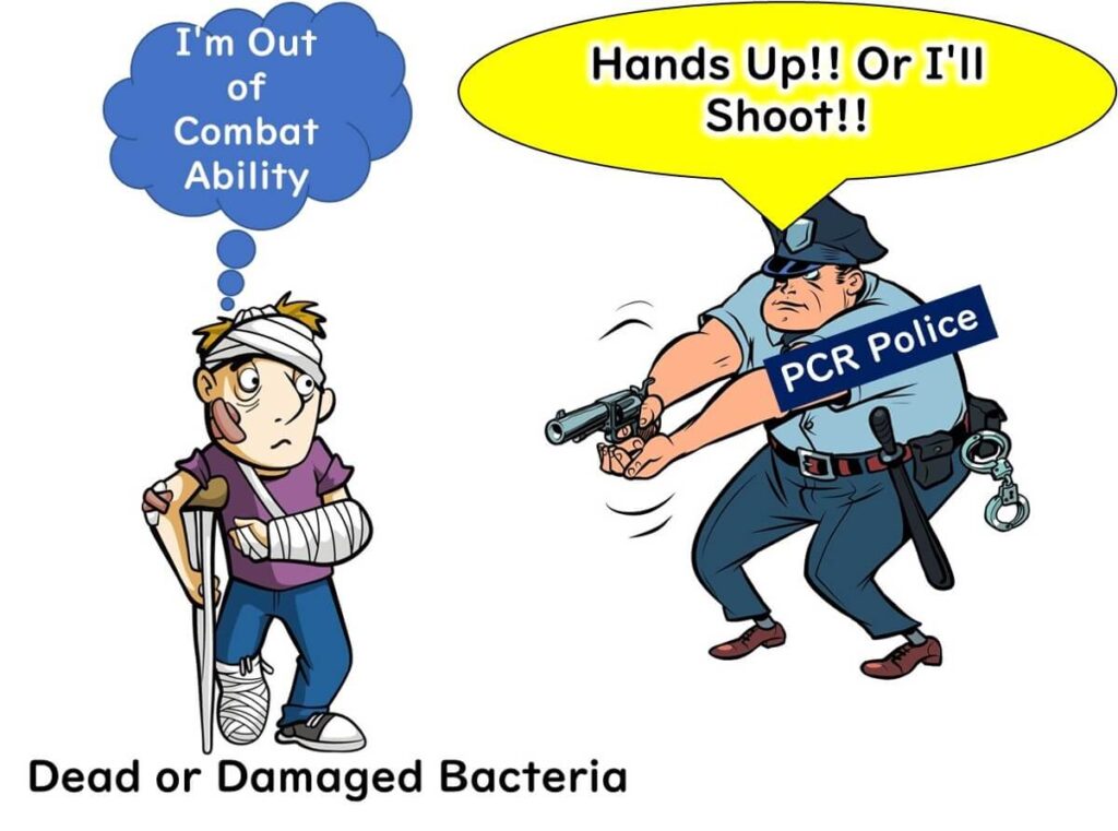 Illustration of PCR police targeting a damaged or dead bacterium, symbolizing the inability of PCR testing to differentiate between viable and non-viable bacteria. The bacterium is shown injured and unarmed.