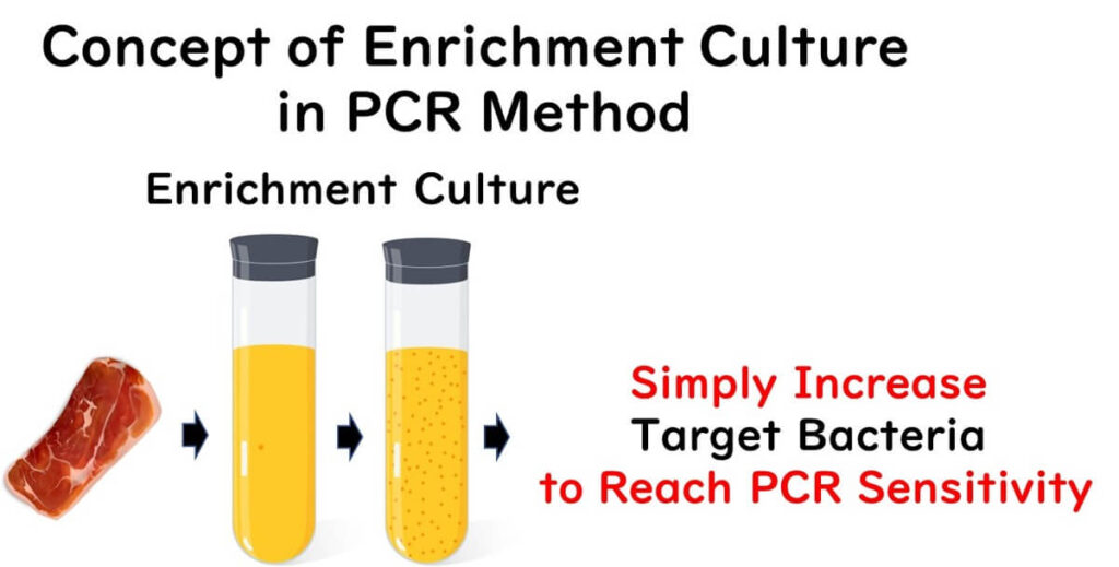 Concept of enrichment culture in PCR method showing a sequence starting from a meat sample, transitioning into enrichment media, and emphasizing the importance of simply increasing target bacteria to reach PCR sensitivity.