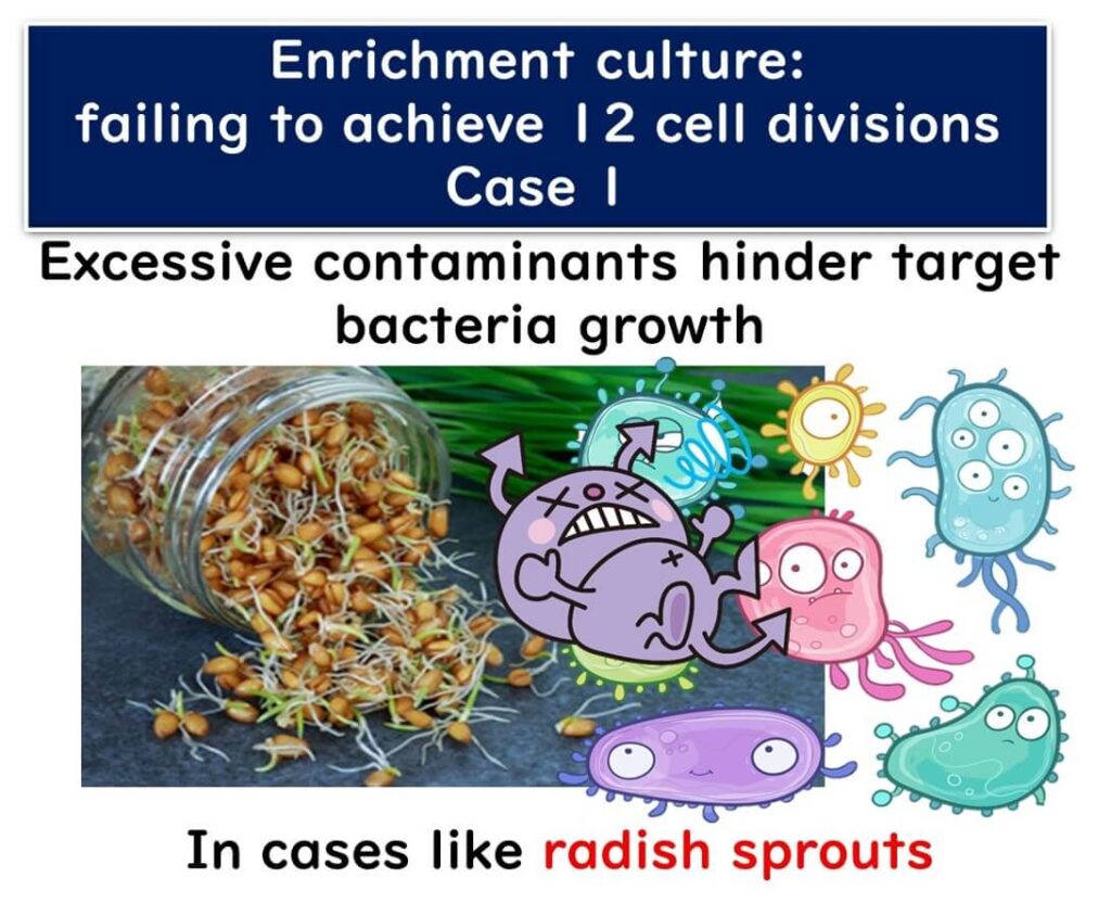 Illustration highlighting challenges in enrichment culture due to excessive contaminants, such as radish sprouts, which hinder target bacterial growth and prevent achieving 12 cell divisions for PCR sensitivity.