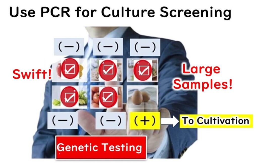 Illustration showcasing the use of PCR for culture screening. The process identifies positive samples for cultivation while efficiently screening out negatives. Keywords include 'Swift!' for rapid testing and 'Large Samples!' to highlight PCR's capacity for high-throughput analysis in genetic testing.