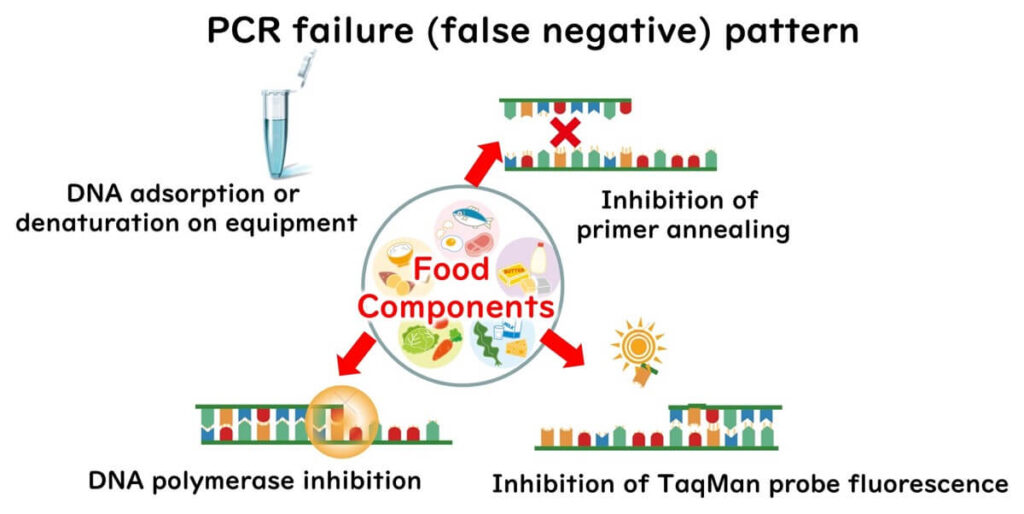 Diagram showing causes of false negatives in PCR testing, including DNA adsorption, primer annealing issues, DNA polymerase inhibition, and TaqMan fluorescence suppression by food components.