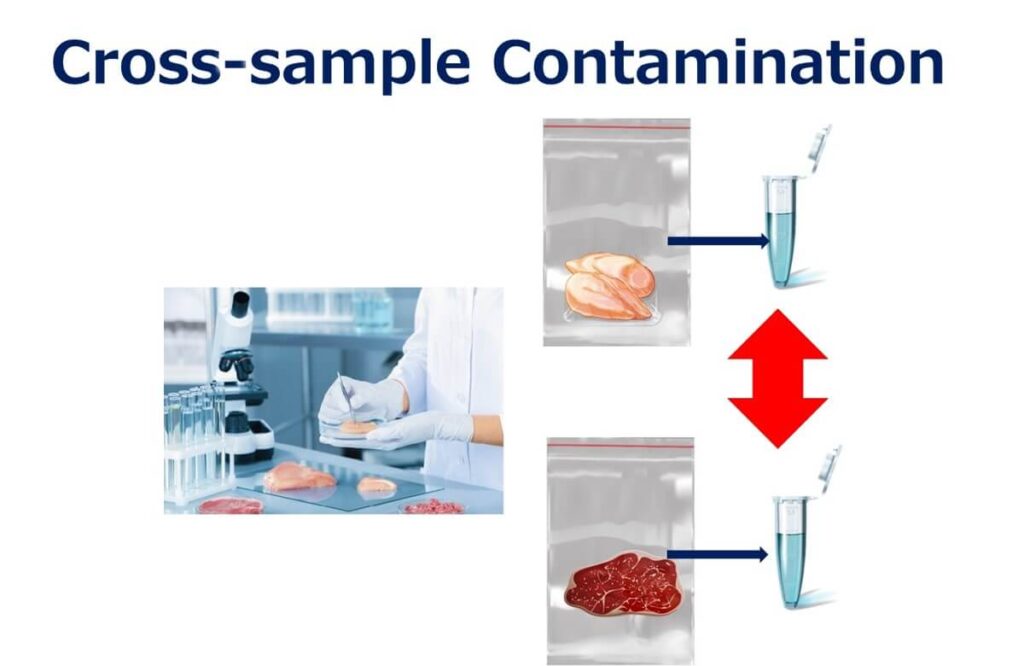 Diagram illustrating cross-sample contamination during PCR food testing, showing the transfer of genetic material between meat samples, emphasizing the importance of strict laboratory practices.