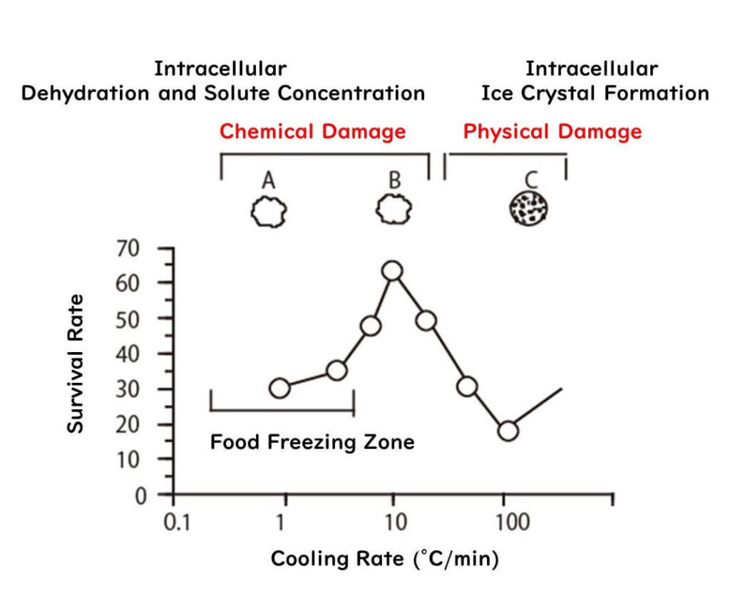 The impact of freezing on microbial cells