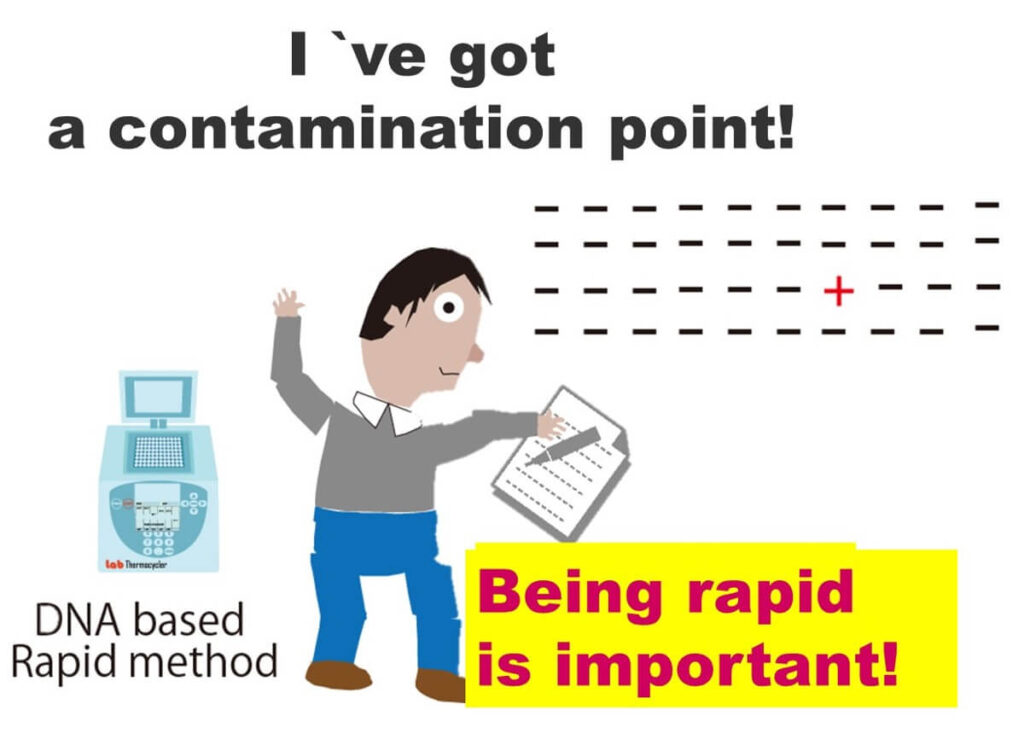 The results of PCR.