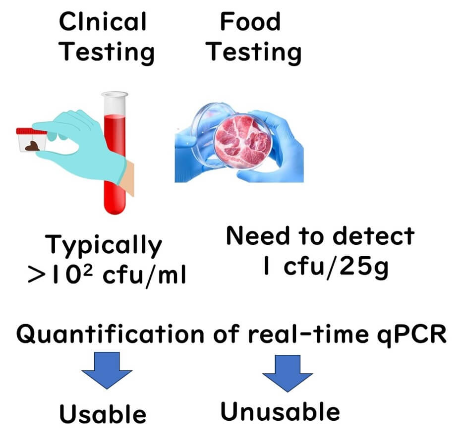 Comparison of PCR quantification usability between clinical testing (detecting >10² cfu/ml) and food testing (requiring 1 cfu/25g), highlighting limitations in food microbiology applications.