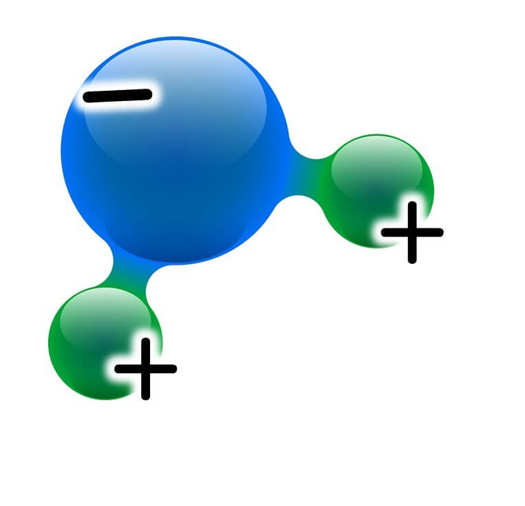 Water molecules