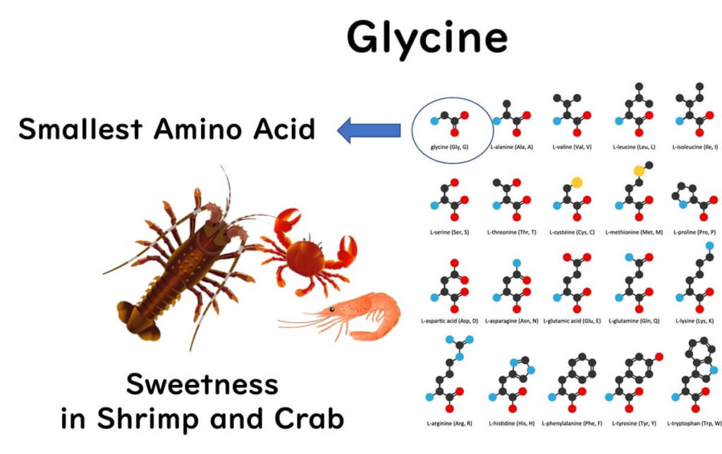 Glycine