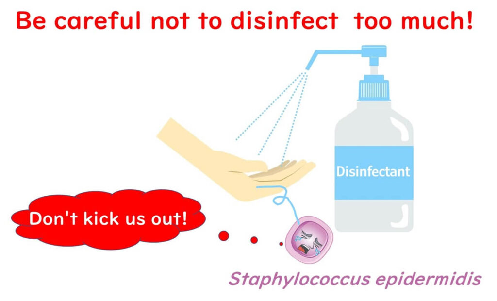 Illustration warning against excessive disinfection, showing a disinfectant spray removing Staphylococcus epidermidis from the skin, with a speech bubble saying 'Don't kick us out!' to highlight the risk of eliminating beneficial skin bacteria