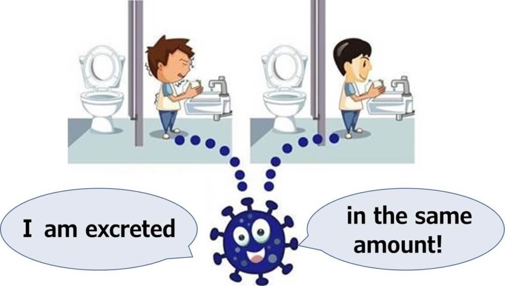 Cartoon illustration showing two individuals—one symptomatic and one asymptomatic—washing their hands after using the toilet, with identical dotted lines leading to a smiling cartoon norovirus saying, "I am excreted in the same amount!"