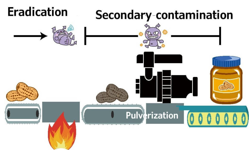 Diagram illustrating the peanut butter production process and points of contamination by Salmonella, highlighting eradication and risks of secondary contamination.