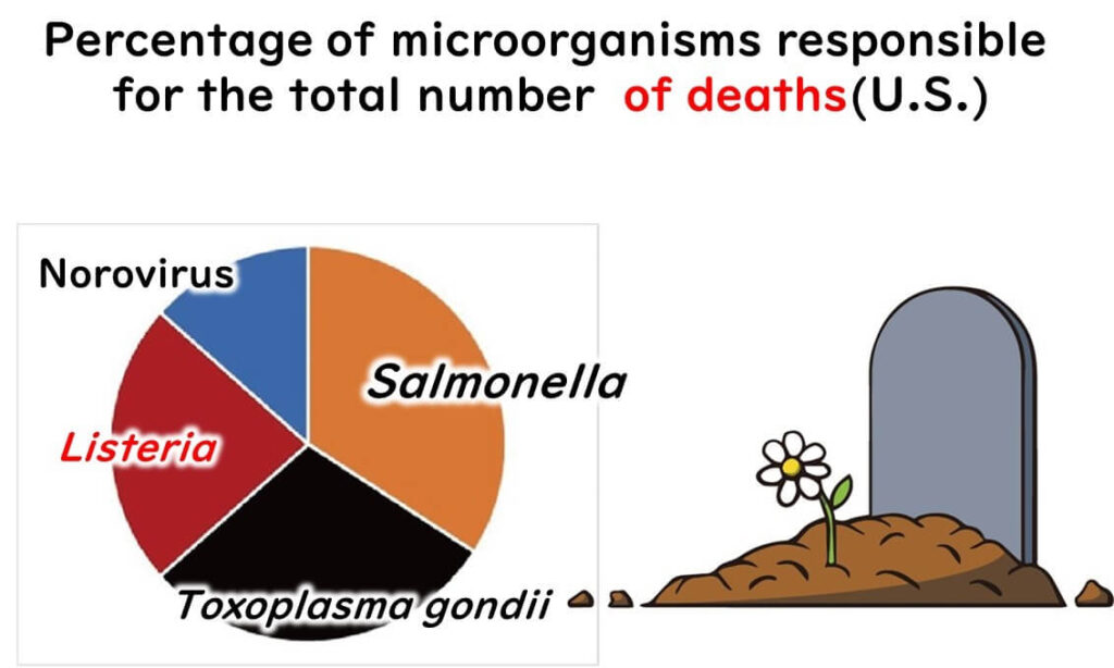 Pie chart depicting the percentage of microorganisms responsible for foodborne illness deaths in the U.S. Salmonella accounts for the largest portion, followed by Toxoplasma gondii, Listeria, and Norovirus. The image also includes a cartoon of a gravestone with a flower growing from the soil.