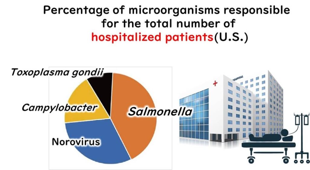 Pie chart illustrating the percentage of microorganisms responsible for foodborne illness hospitalisations in the U.S. Salmonella represents the largest share, followed by Norovirus, Campylobacter, and Toxoplasma gondii. The image also includes a hospital building and a patient lying on a hospital bed with an IV stand.