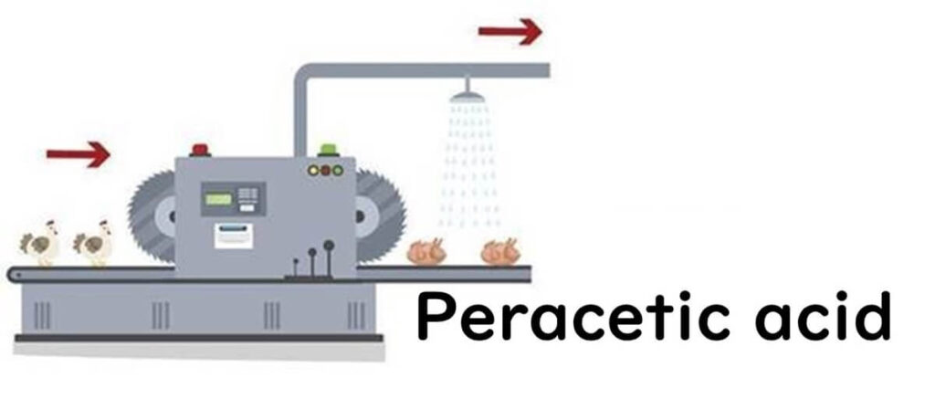 Illustration of peracetic acid being applied during the post-chill stage in a poultry processing line, where carcasses are treated to reduce microbial contamination.