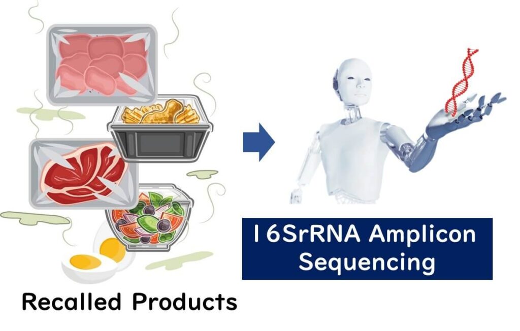 Illustration showing spoiled recalled food products being analysed using 16S rRNA amplicon sequencing, represented by a robot holding a DNA strand.