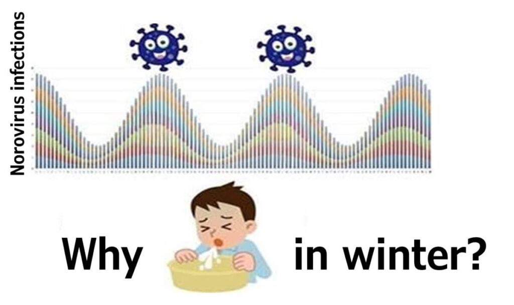 Graph showing seasonal peaks of norovirus infections in winter, with cartoon virus icons and a child vomiting into a bowl, highlighting the question: Why in winter?